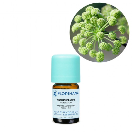 Rădăcină de Angelică Organică